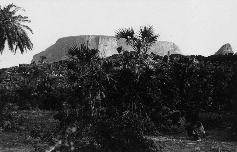 Palmeraie et Village